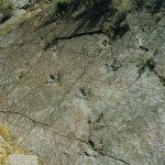 Yacimiento-Las-Navas