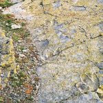 Yacimiento-de-Peña-Portillo1